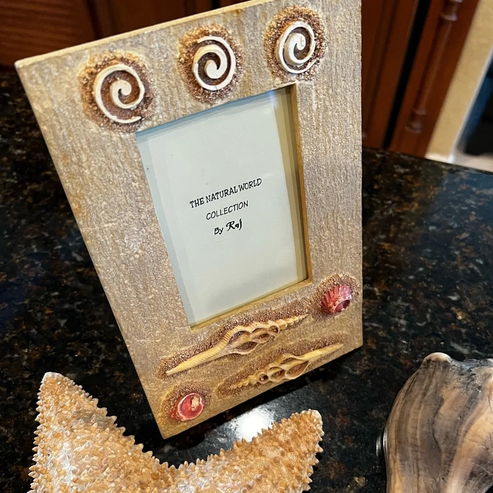 NEW Dimensional Seashell Picture Frames-Set of 2 by Raj